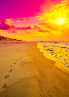 Purple Sunrise Over The Se