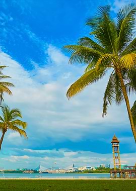 Beautiful Landscape With P