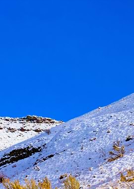 Stunning Backgrounds