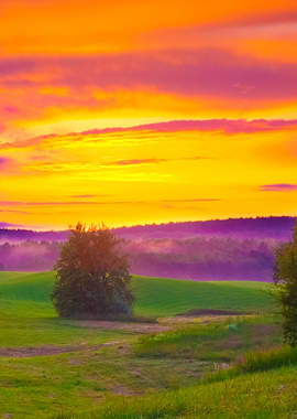 Sunset Landscape