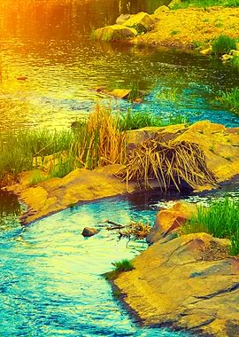 River Bank With Rocks