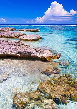 Stunning Backgrounds