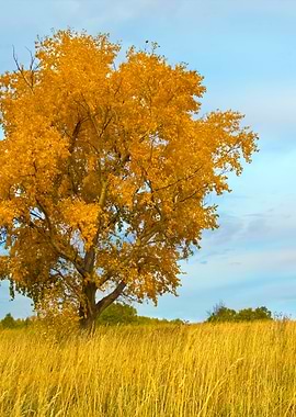 Stunning Backgrounds