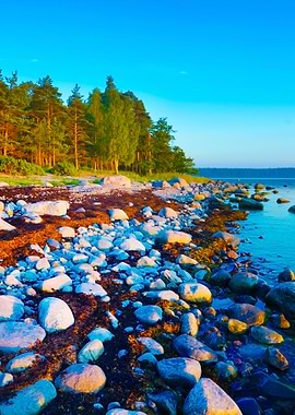 Rocks At The Coast Of Kasm