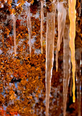 Stunning Backgrounds