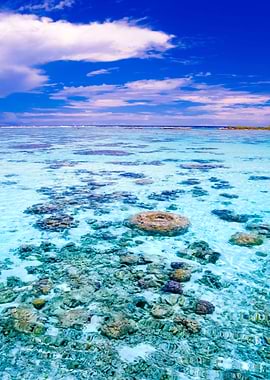 Stunning Backgrounds