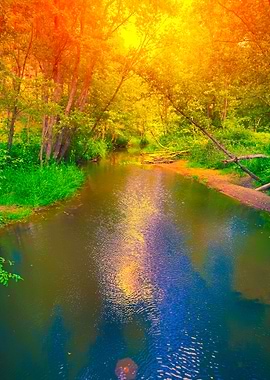River In The Forest