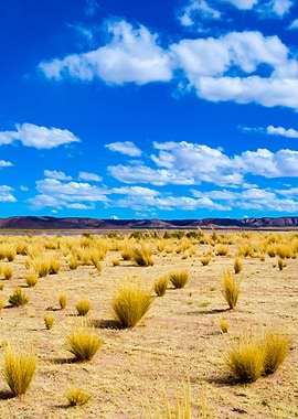 Stunning Backgrounds