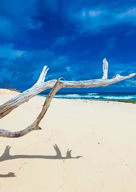 Stunning Backgrounds