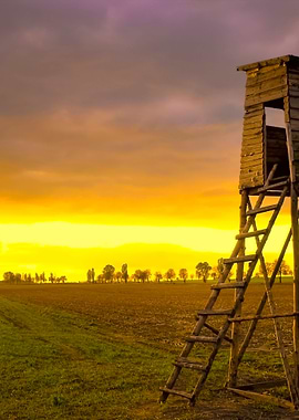 Sunset Sky And Raised Hide
