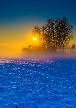 Beautiful Winter Field Lan