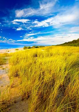 Baltic Beach At The Sunset