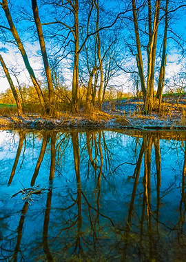 Winter River In Forest