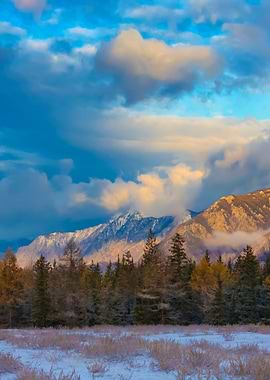 Stunning Backgrounds