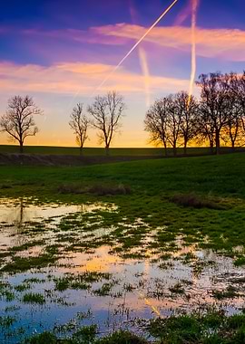 Field With Puddles