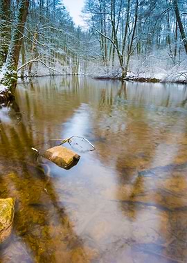 Winter River In Forest