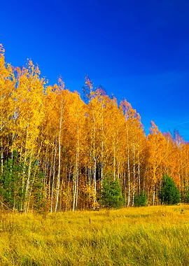 Classical Autumn Landscape