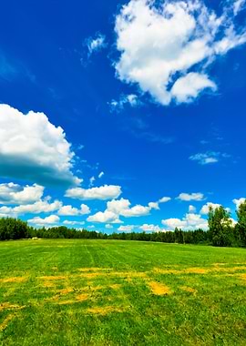 Classic Rural Landscape Gr