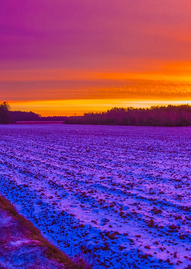 Beautiful Winter Field Lan