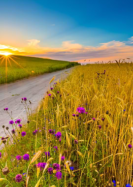 Beautiful Landscape Of Sun