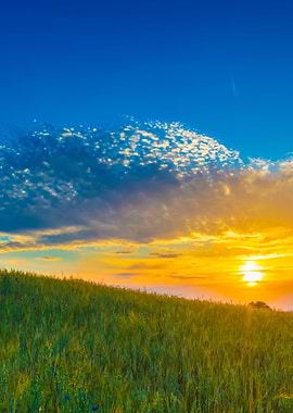 Beautiful Landscape Of Sun