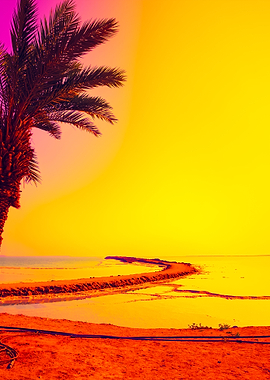 Dead Sea Shore With Palm T