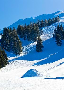 Stunning Backgrounds