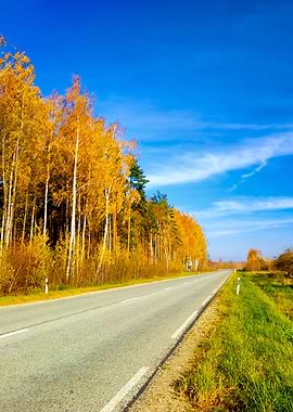 Country Road In Fall Seaso