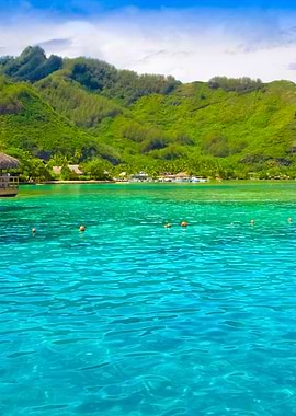 Stunning Backgrounds