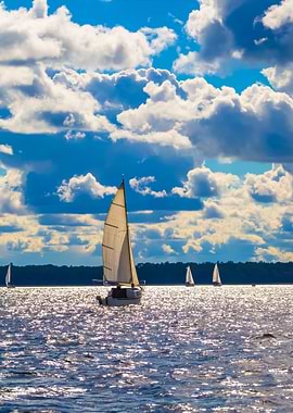 Lake Landscape With Yachts