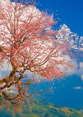 Stunning Backgrounds