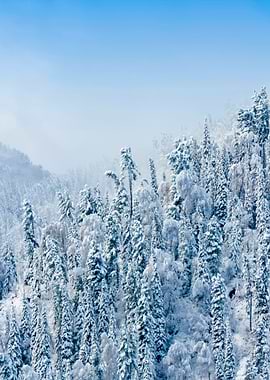 Stunning Backgrounds