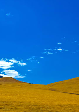 Stunning Backgrounds