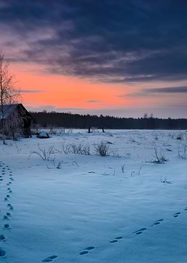Winter Landscape With Hoar