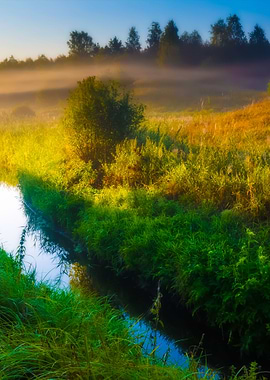 Foggy Morning Meadow Lands