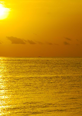 Beautiful Orange Sunset On