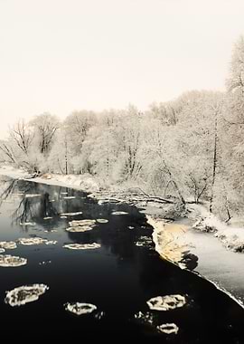 Winter River And HoarFrost