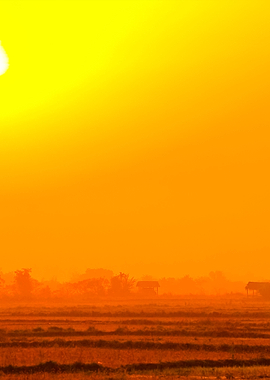 Beautiful Sunset Over The