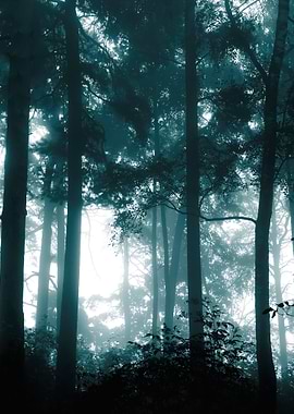 A Mystical Forest With Fog