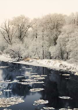 Winter River And HoarFrost