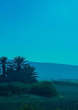 Arable Land In Israel Near