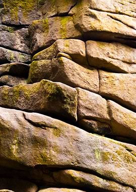 In The Harz Mountains