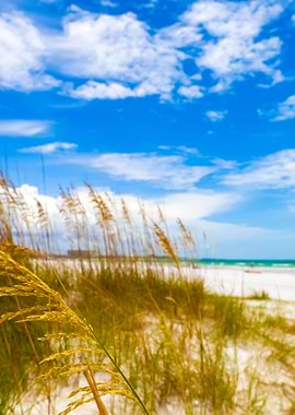 Siesta Key Beach Sarasota