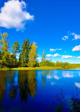 River And Forest Scene In