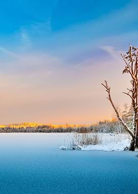 Frozen Lake Winter Sunrise