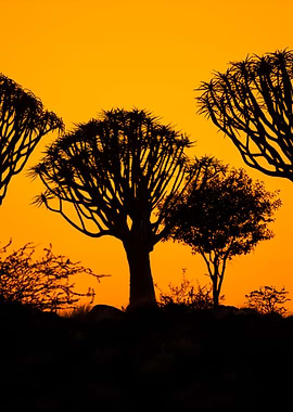 Stunning Backgrounds