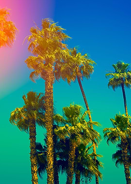 Palm Trees Against Blue Sk