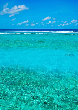 Maldives Scene With Gorgeo