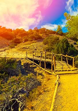 Wooden Bridge In Autumn Pa