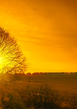 Beautiful Sunset Over Fiel